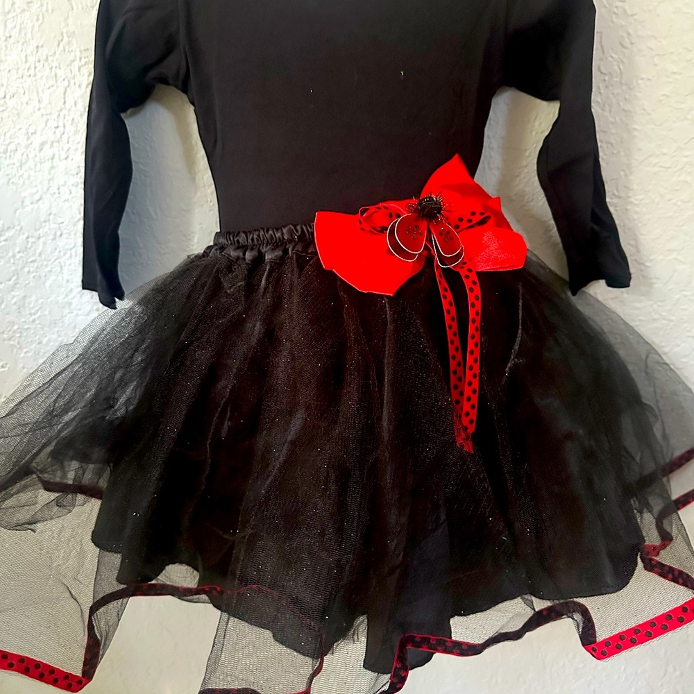 Ladybug Costume!